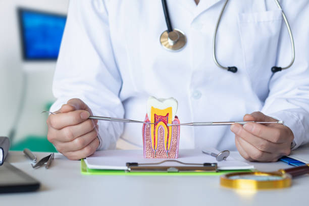 Best Broken or Chipped Tooth Repair in Port Hadlock Irondale, WA